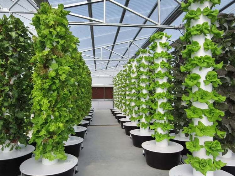 Grow Towers & Smart Gardens