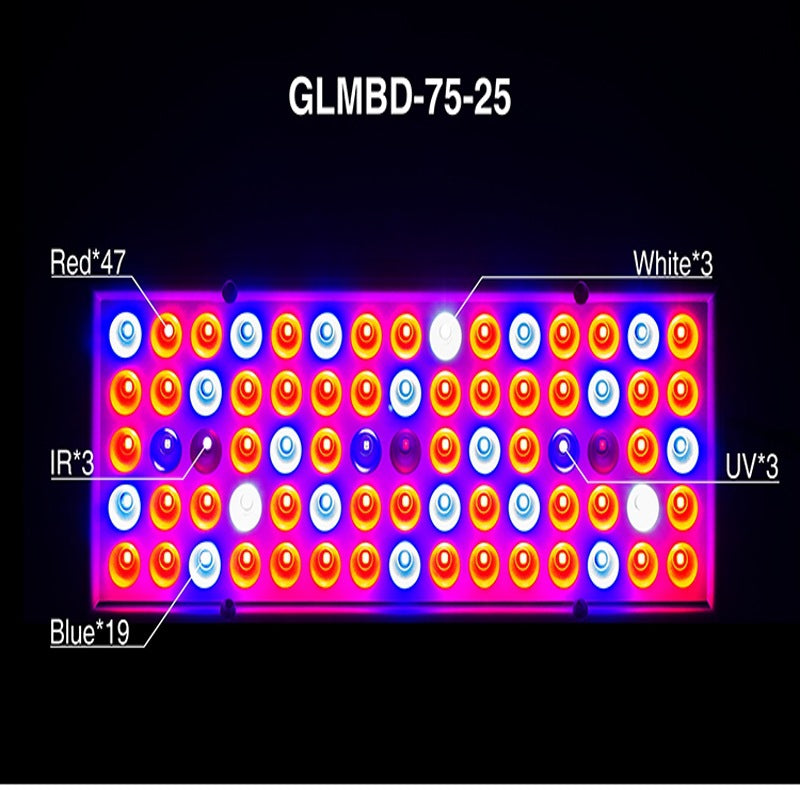 Full Spectrum Plant Grow Light for Seedlings and Flowers