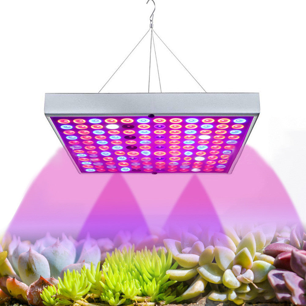 Full Spectrum Plant Grow Light for Seedlings and Flowers