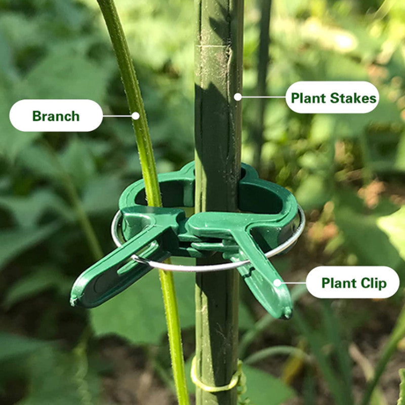 Reusable Plant Support Clips – 20pcs Weatherproof Garden Clips for Tomatoes, Cucumbers & More