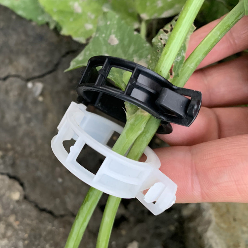 Plant Support Clips for Tomatoes and Vegetables (100PCS)