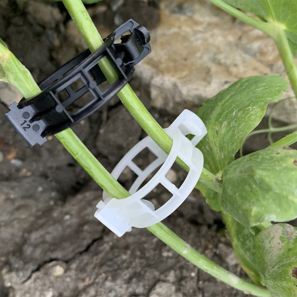 Plant Support Clips for Tomatoes and Vegetables (100PCS)