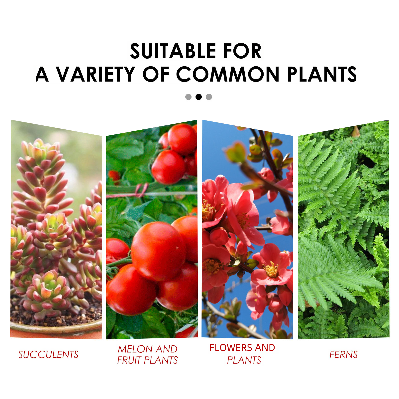 Yegbong Slow-Release Nutrient Tablets for Plants