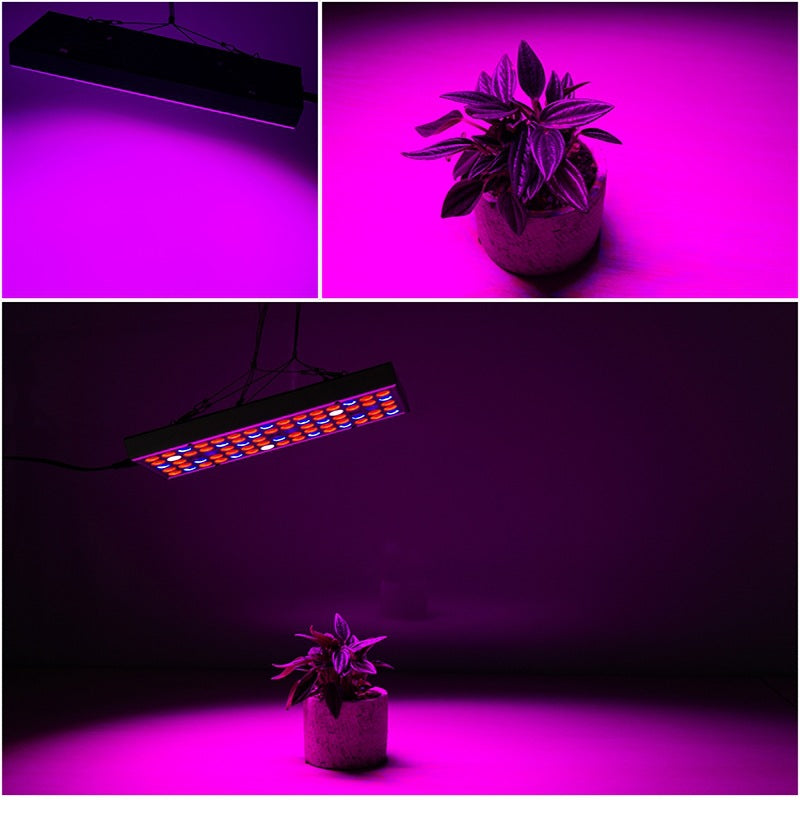 Full Spectrum Plant Grow Light for Seedlings and Flowers