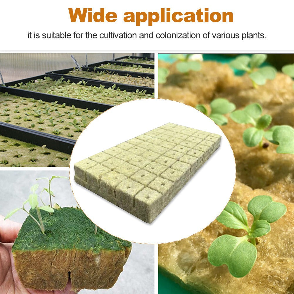 Rockwool Hydroponic Seedling Cubes – 100pcs Sterile Grow Plugs for Soil-Free Plant Starts