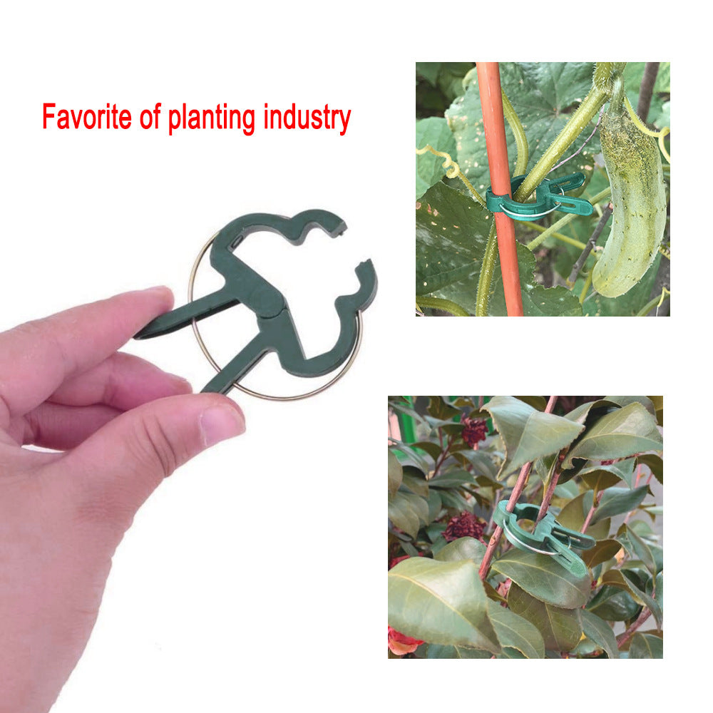 Reusable Plant Support Clips – 20pcs Weatherproof Garden Clips for Tomatoes, Cucumbers & More