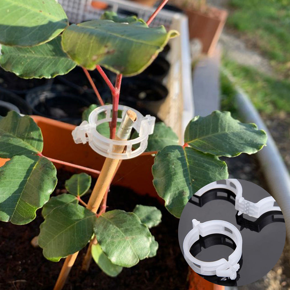Plant Support Clips for Tomatoes and Vegetables (100PCS)