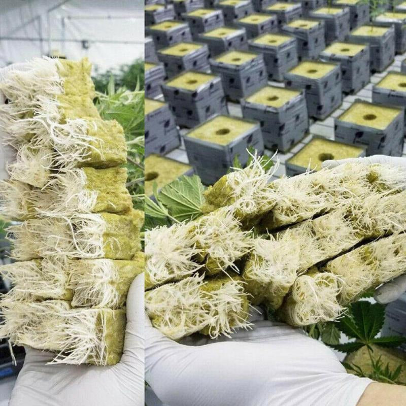 Rockwool Hydroponic Seedling Cubes – 100pcs Sterile Grow Plugs for Soil-Free Plant Starts