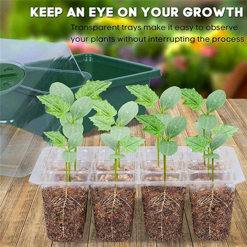 12-Cell Seed Starting Tray with Vented Cover