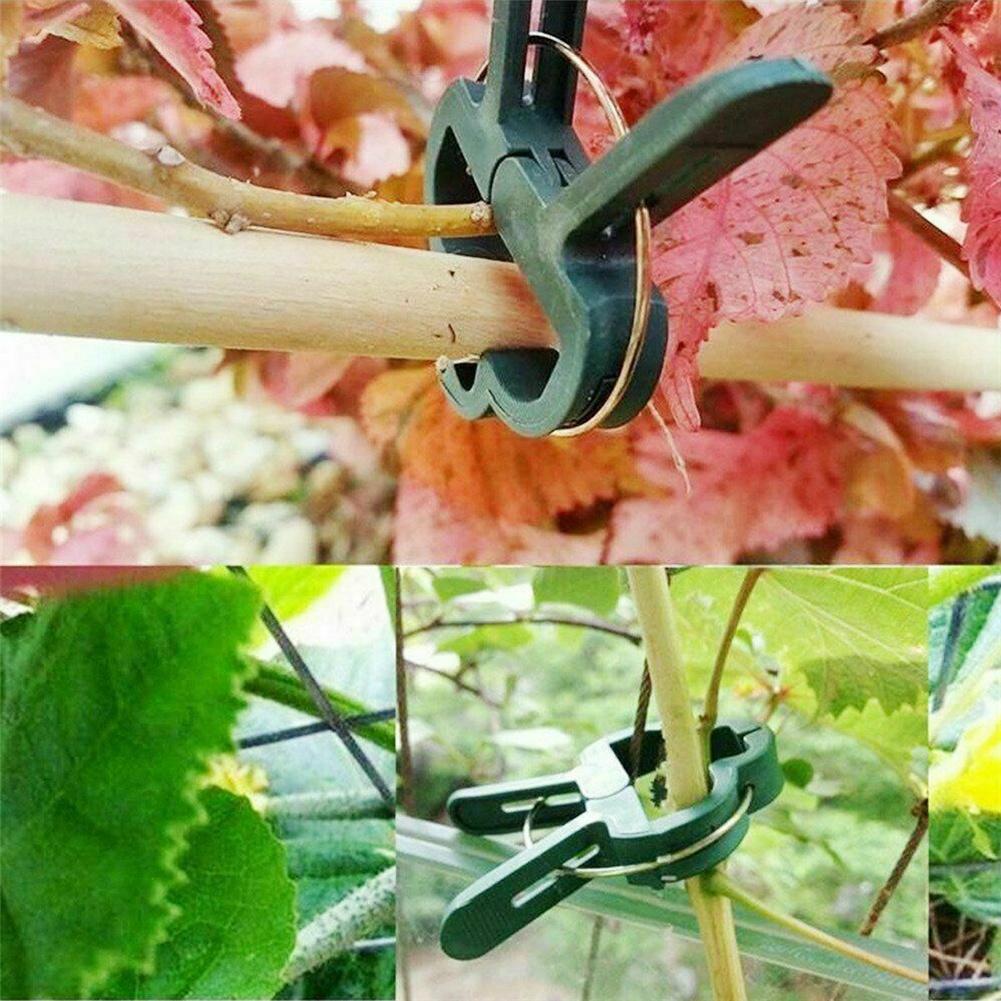 Reusable Plant Support Clips – 20pcs Weatherproof Garden Clips for Tomatoes, Cucumbers & More