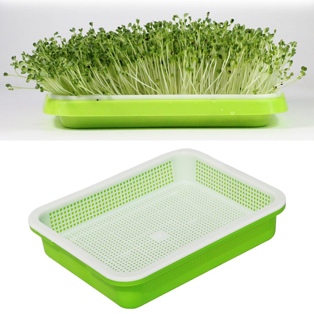 Double Layer Planting Tray for Sprouts and Seedlings