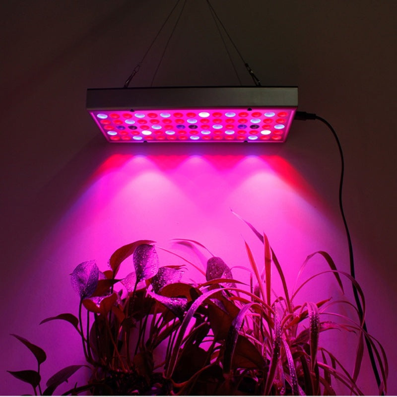Full Spectrum Plant Grow Light for Seedlings and Flowers