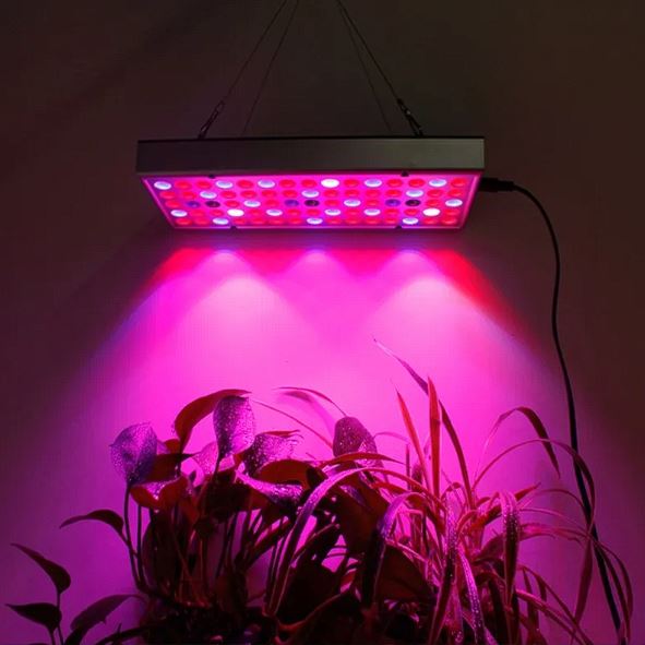 Full-Spectrum LED Grow Light for Hydroponics & Seedlings